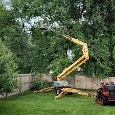 Best Hedge Trimming  in New Pek, IN